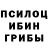 Псилоцибиновые грибы Psilocybine cubensis Zon8