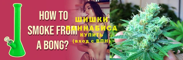 шишки Нягань