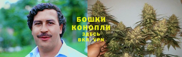 шишки Нягань