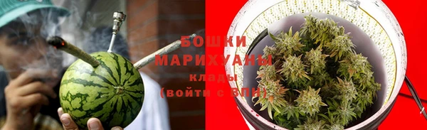 гидропоника Нязепетровск