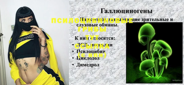 MDMA Няндома