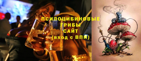 шишки Нягань