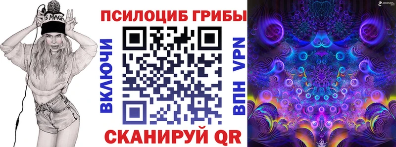 Псилоцибиновые грибы Psilocybe  цена   Нижнеудинск 