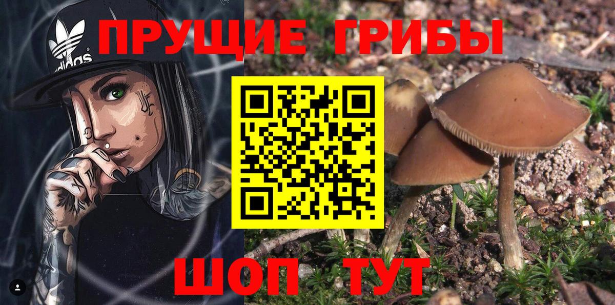 Псилоцибиновые грибы Magic Shrooms  Вход с VPN  Нижнеудинск 