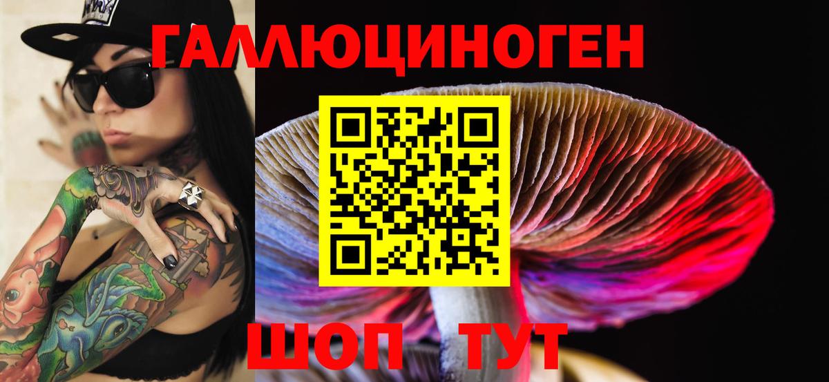 Псилоцибиновые грибы Psilocybe Нижнеудинск